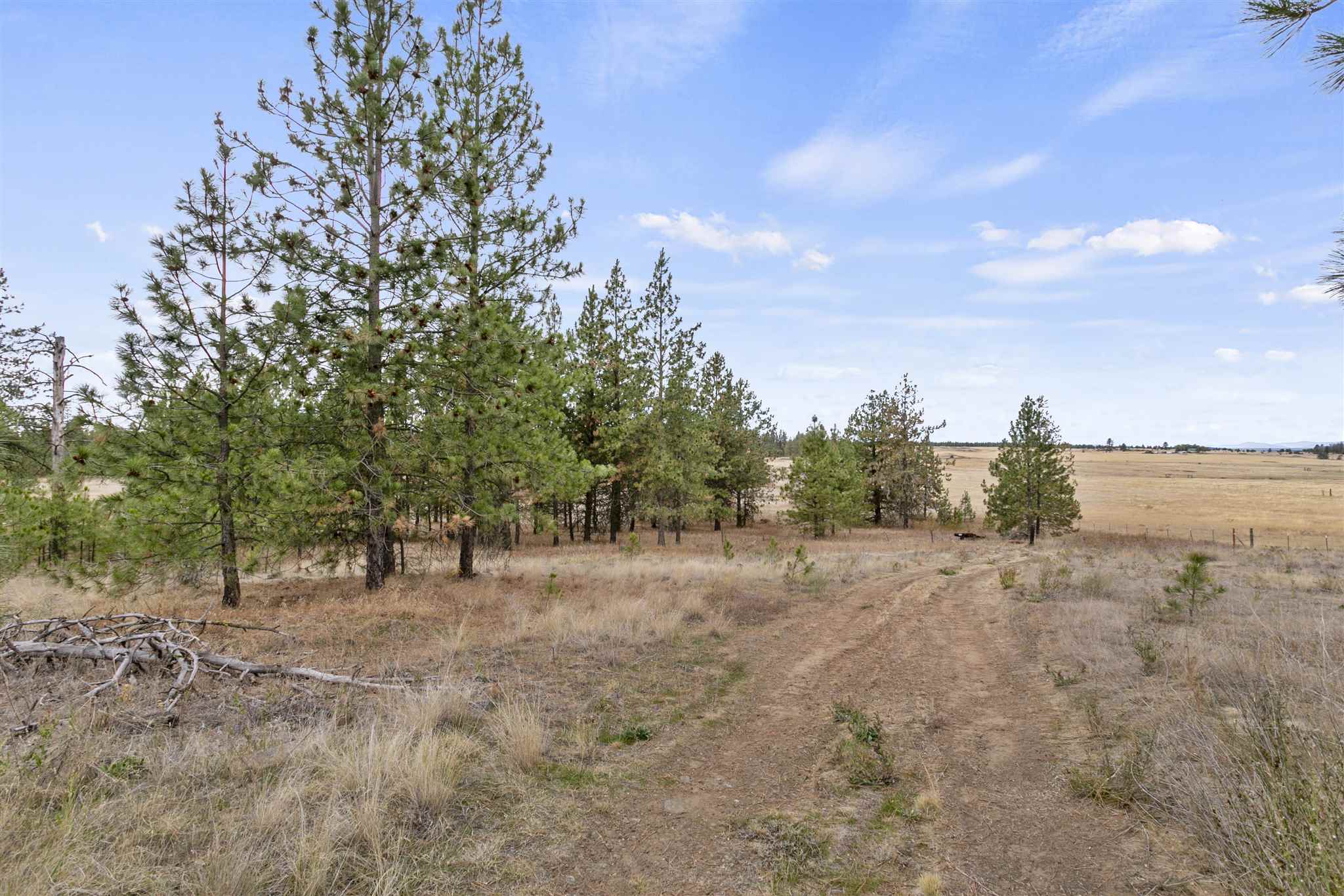 15117 North Ritchey Road Nine Mile Falls, WA 99026 - Photo 16 of 17
