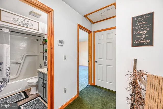 a spacious bathroom with a shower and a toilet