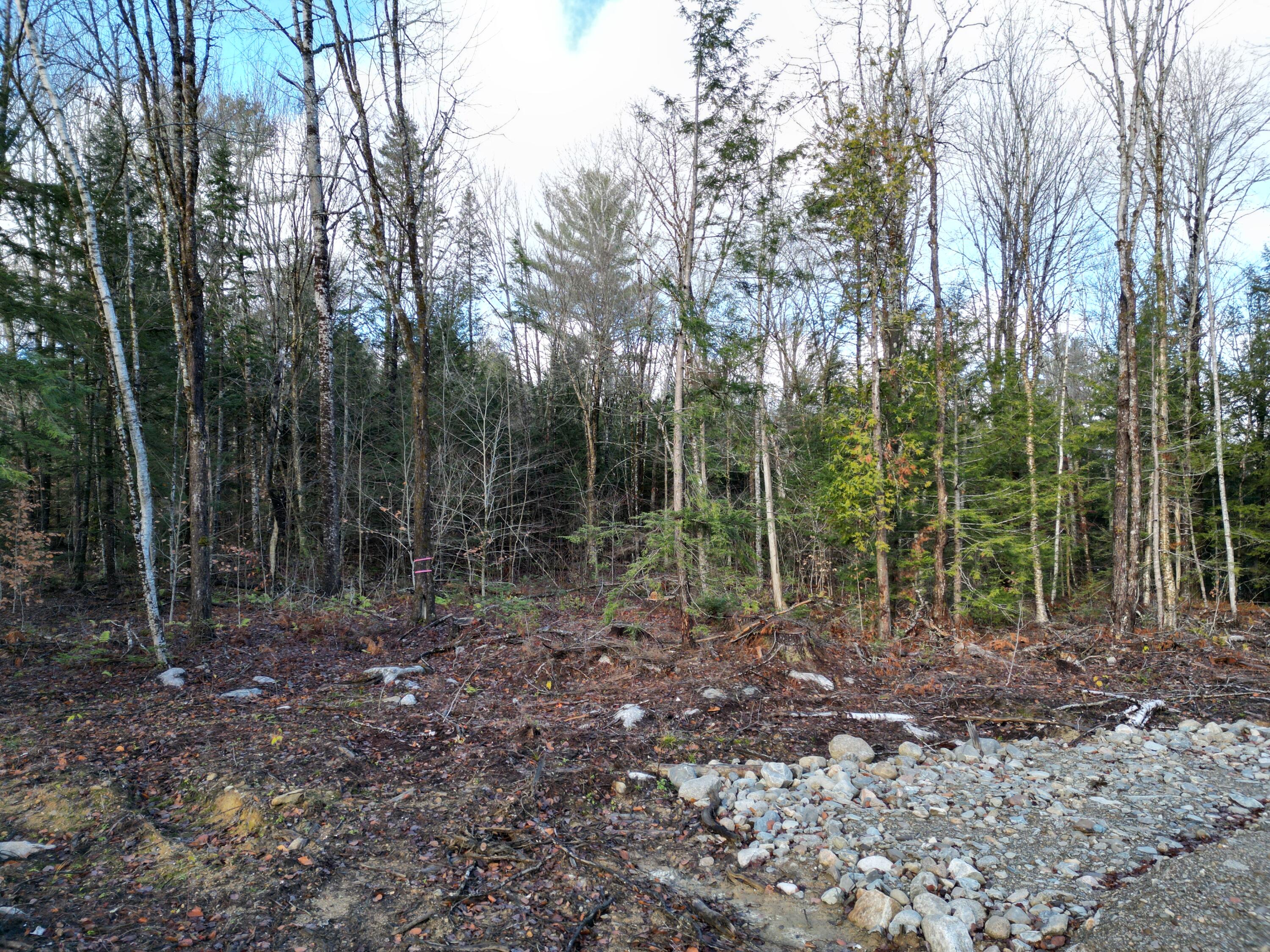 2 Falcon Ridge Lincoln, ME 04457 - Photo 6 of 16 DJI_0963