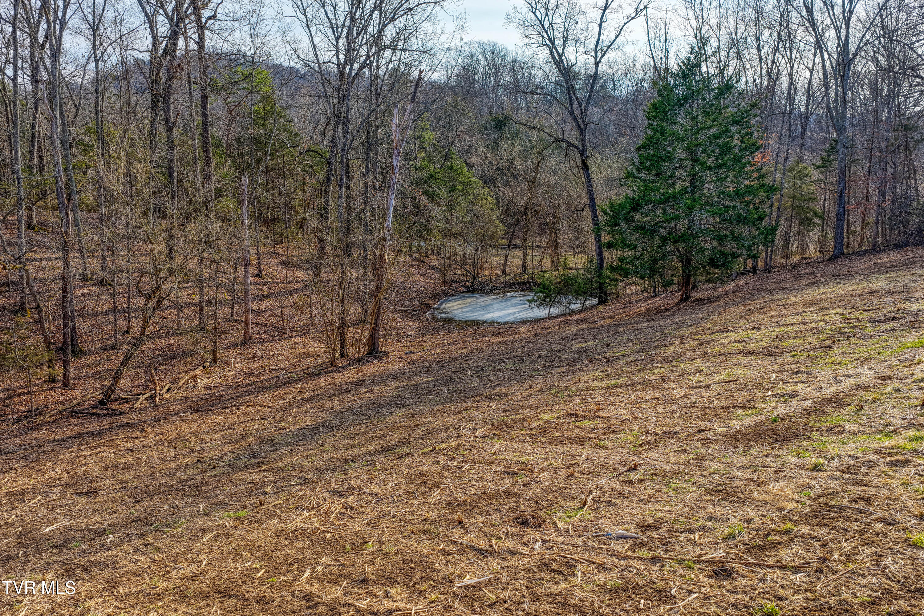 3870 Dulaney Road Mosheim, TN 37818 - Photo 14 of 41 3870 Dulaney. Gvl MLSa (14 of 22)