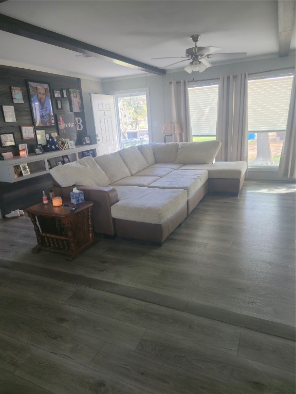 10211 FM 1458 Road Sealy, TX 77474 - Photo 2 of 9