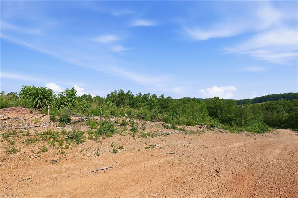 Lot#4 Skeen View Road Asheboro, NC 27205 - Photo 2 of 16