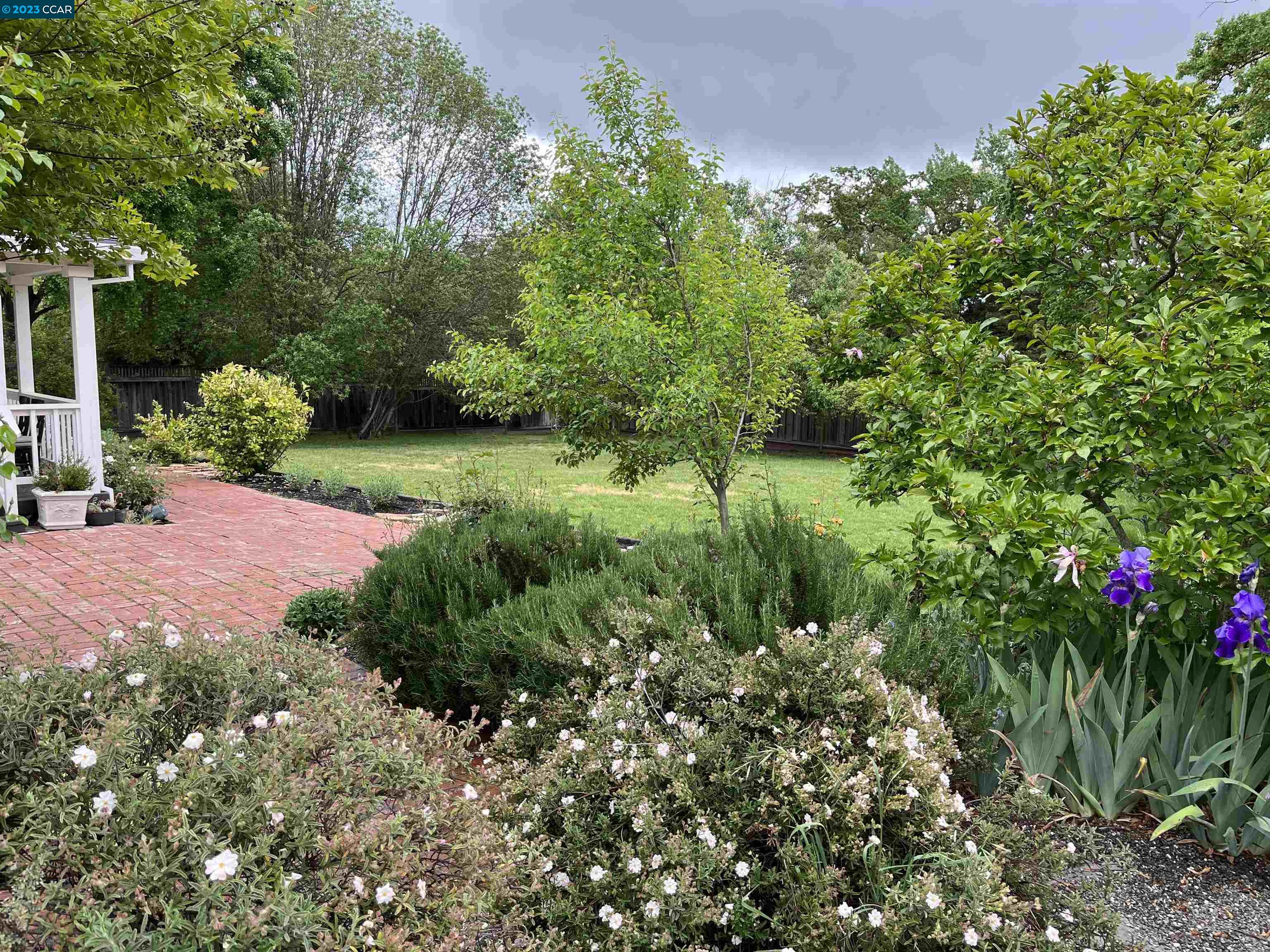 3524 Oliver Court Lafayette, CA 94549 - Photo 25 of 32 a view of a garden with plants and large trees