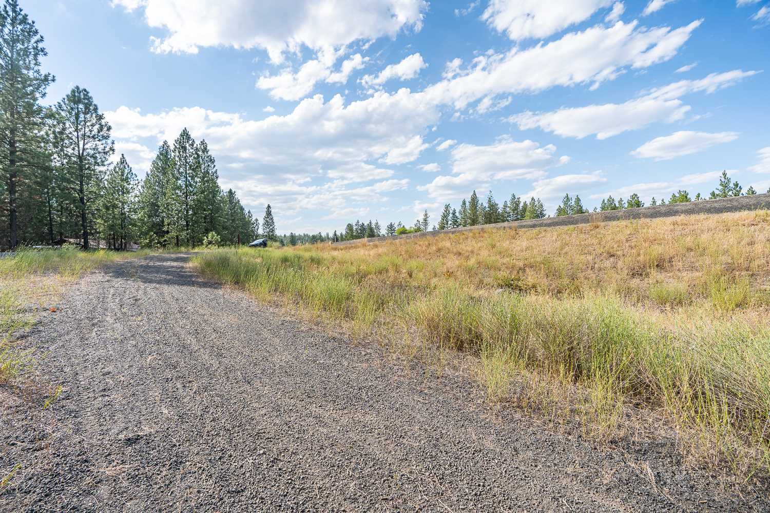 Nine West Rutter Parkway Nine Mile Falls, WA 99026 - Photo 4 of 22 Gallery Image 4
