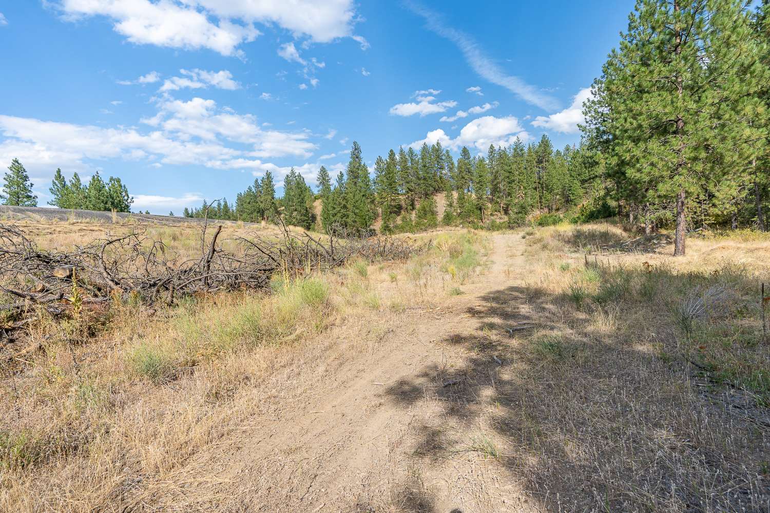 Nine West Rutter Parkway Nine Mile Falls, WA 99026 - Photo 6 of 22 Gallery Image 6