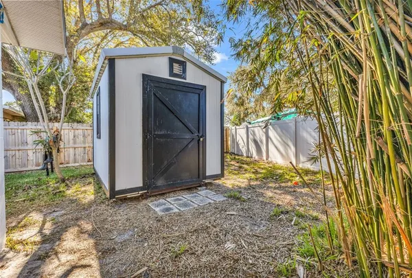 a view of backyard and tree
