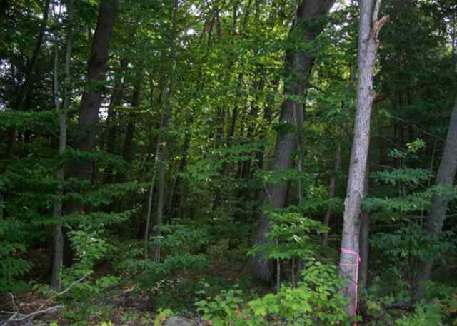 2 Steers Road Broadalbin, NY 12025 - Photo 1 of 3 Photo 1