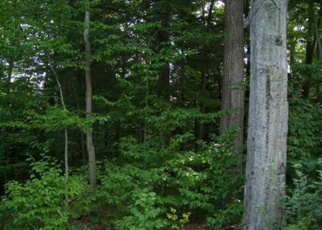 2 Steers Road Broadalbin, NY 12025 - Photo 3 of 3 Photo 3