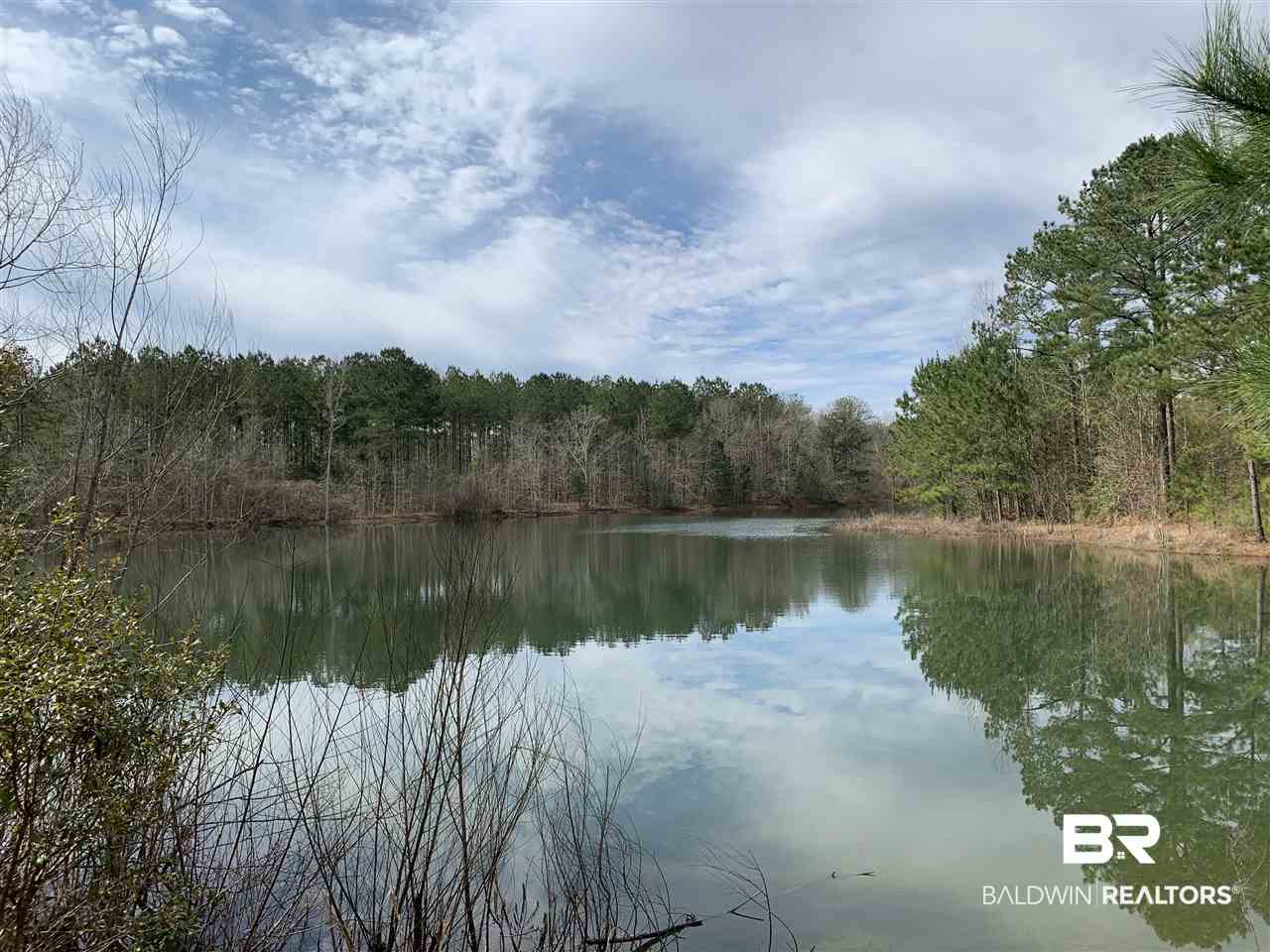 0 Sexton Brg Road Luverne, AL 36049 - Photo 39 of 50