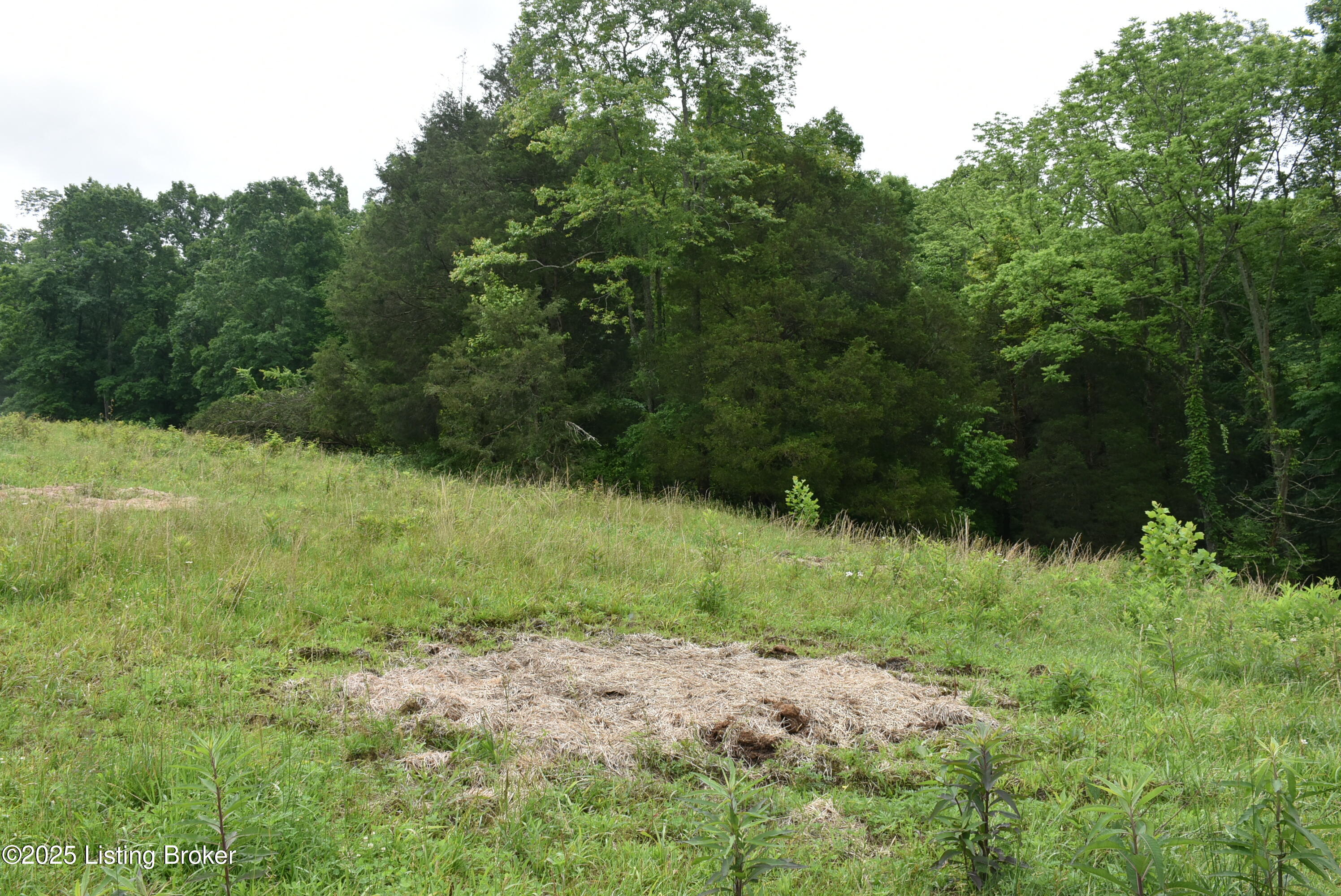 0 Bridgeport Road Edmonton, KY 42129 - Photo 5 of 22 DSC_9172