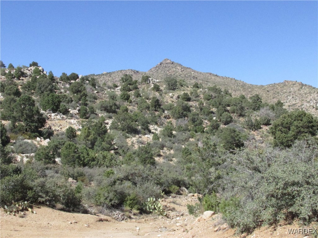 0 Walapai Mining Road Kingman, AZ 86409 - Photo 4 of 10 View