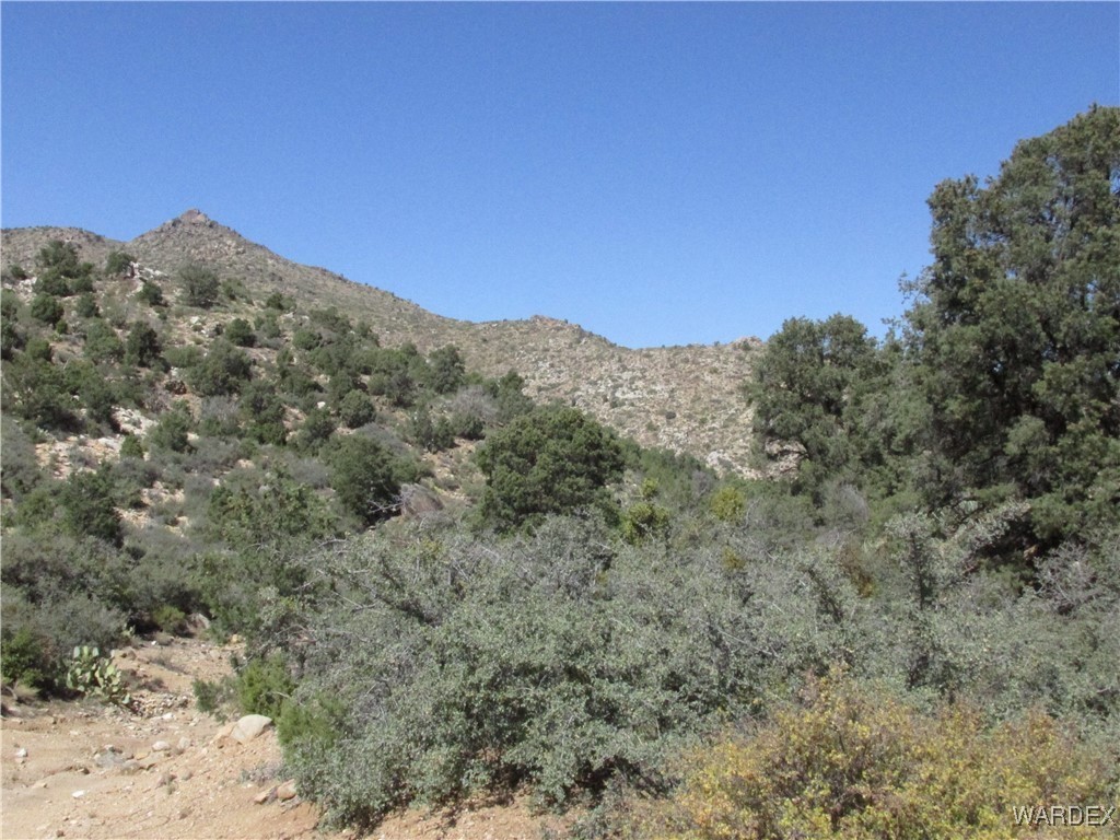 0 Walapai Mining Road Kingman, AZ 86409 - Photo 5 of 10 View