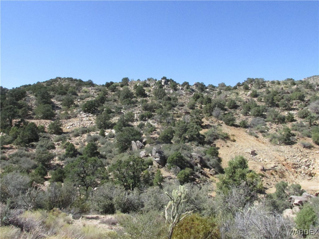 0 Walapai Mining Road Kingman, AZ 86409 - Photo 6 of 10 Other