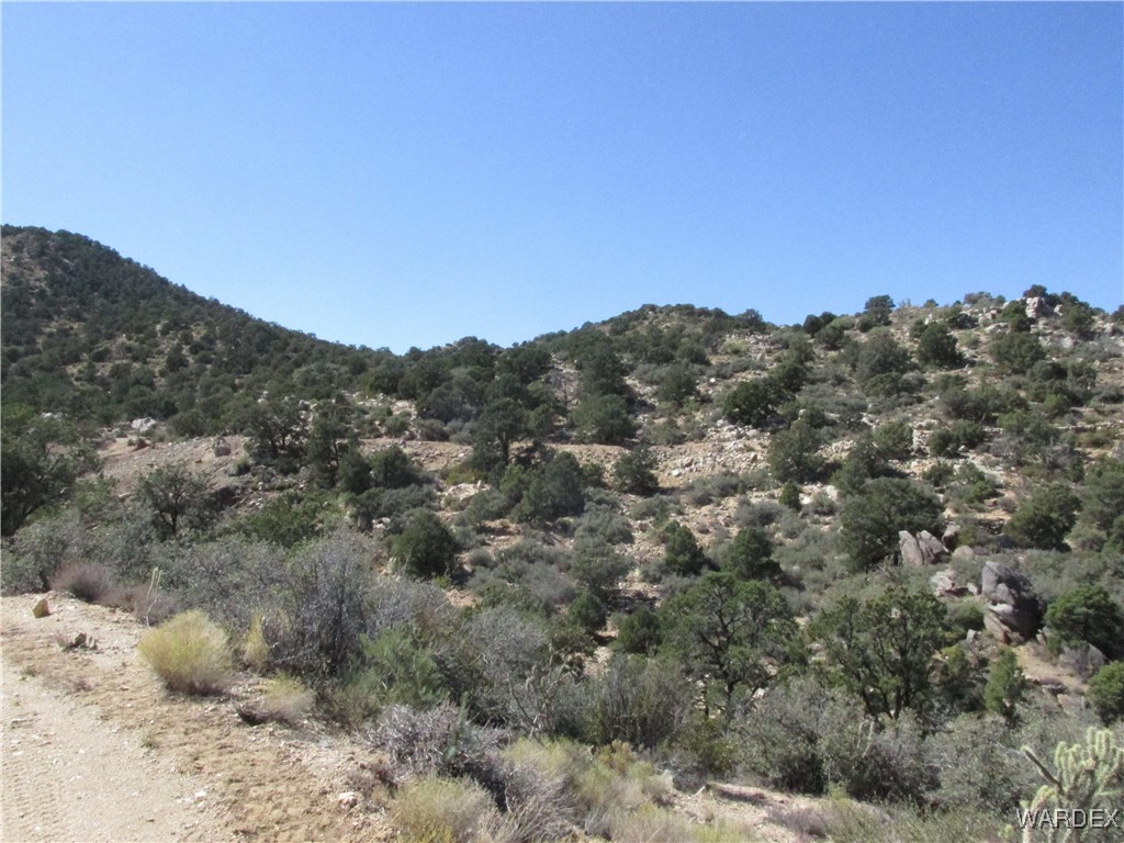 0 Walapai Mining Road Kingman, AZ 86409 - Photo 7 of 10 View