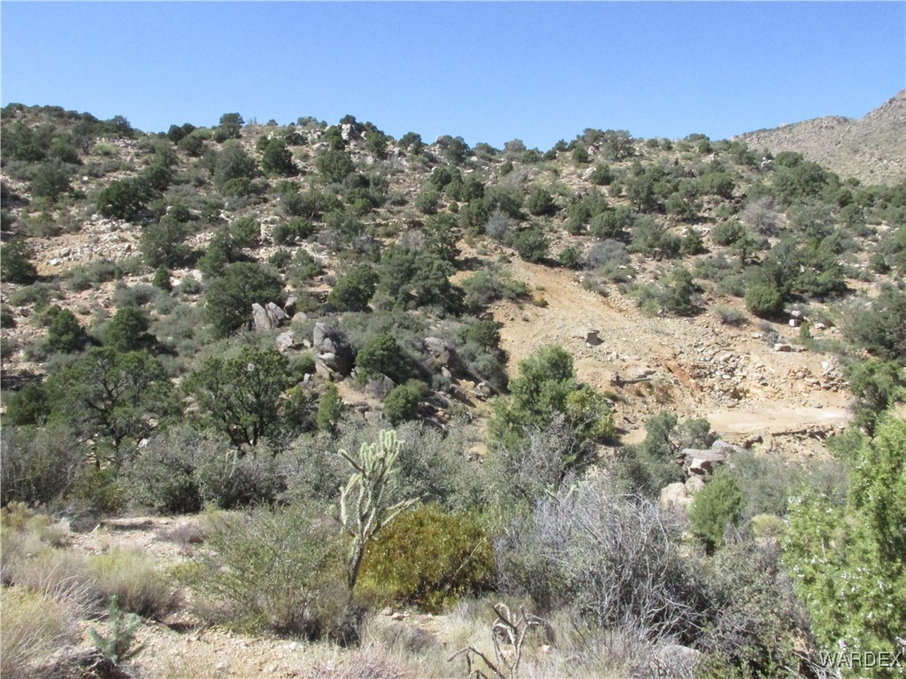 0 Walapai Mining Road Kingman, AZ 86409 - Photo 8 of 10 Other