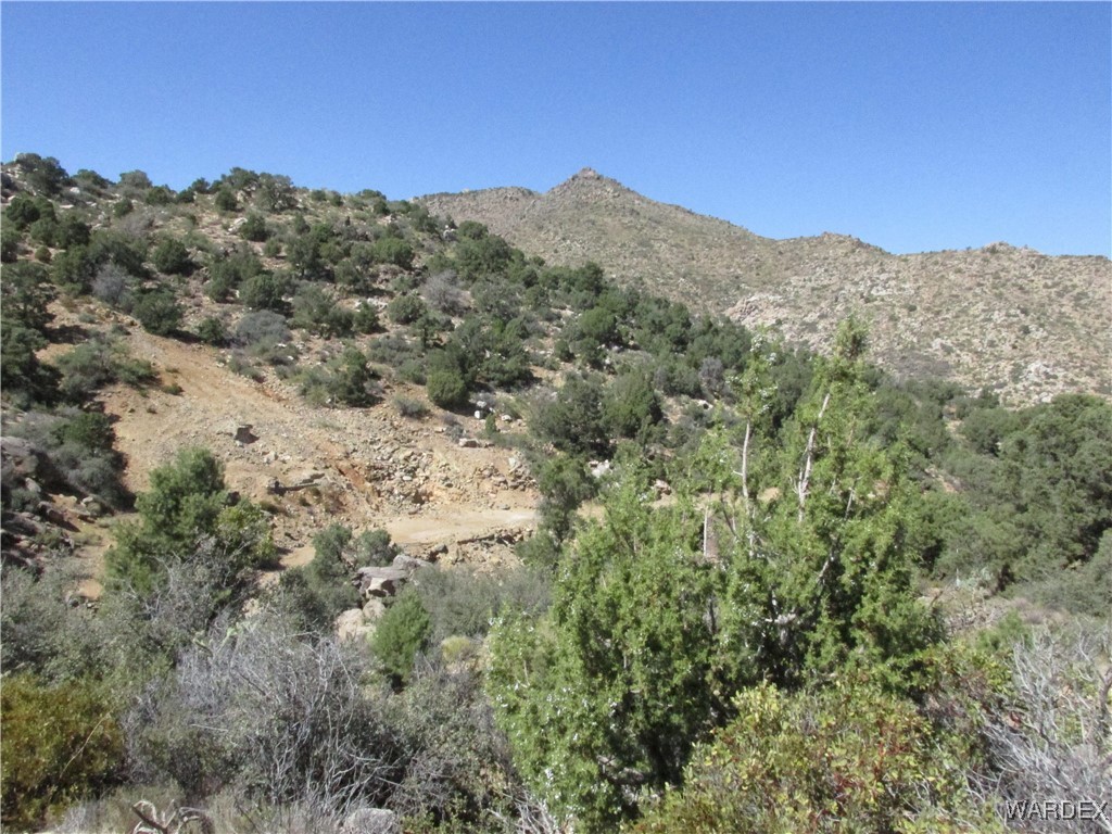 0 Walapai Mining Road Kingman, AZ 86409 - Photo 9 of 10 View