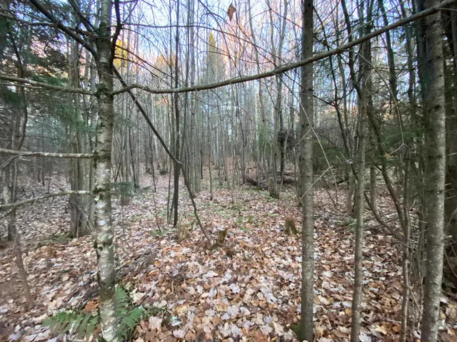 $175,000 | 0 Washburn Road, East Burke, VT 05832