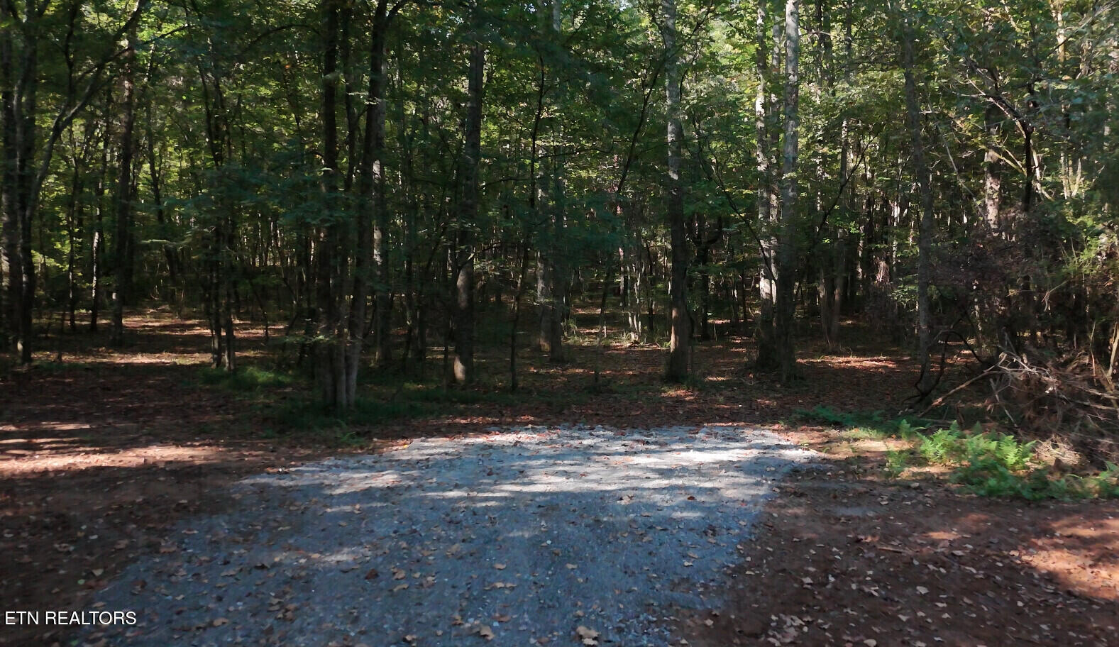 Lot 45 Old Mine Road Sweetwater, TN 37874 - Photo 2 of 7 6aaafdde6bd1f