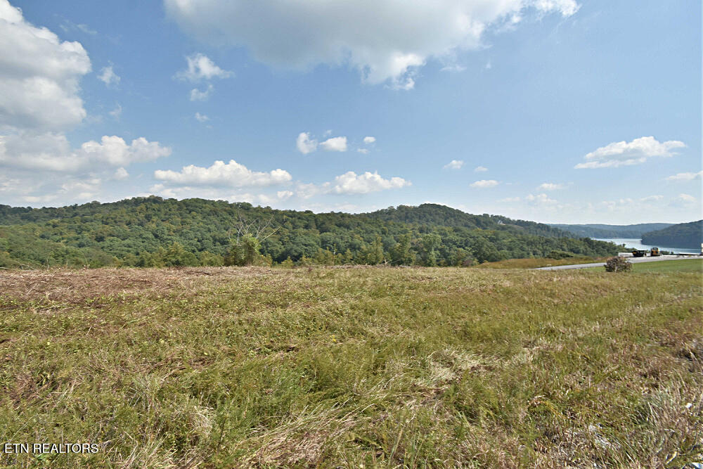 Lot #65 Pinnacle Lane La Follette, TN 37766 - Photo 2 of 5 Lot 65