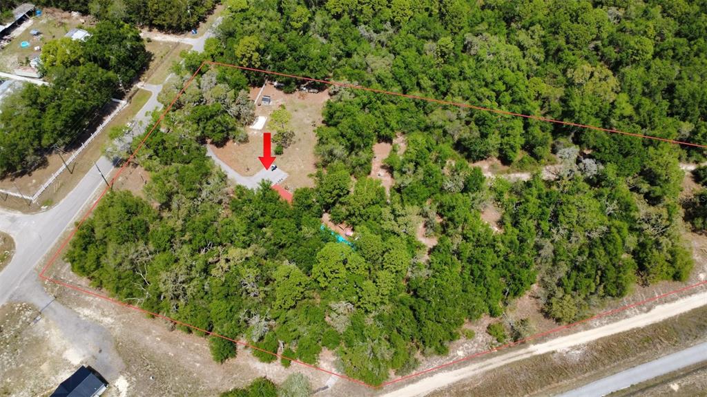 17622 Caufield Road Spring Hill, FL 34610 - Photo 11 of 13