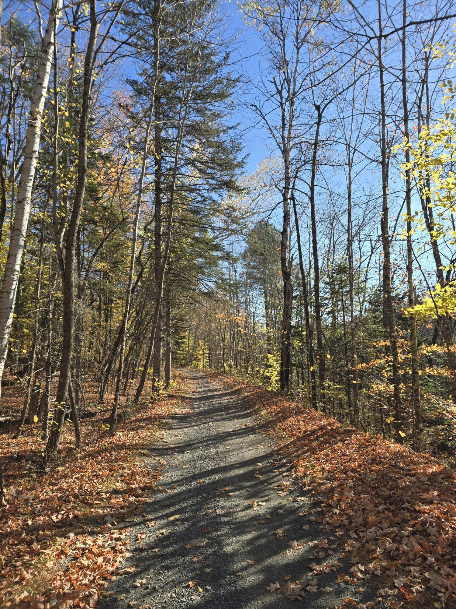 53 Back Road Abbot, ME 04406 - Photo 36 of 73 20251017_093103