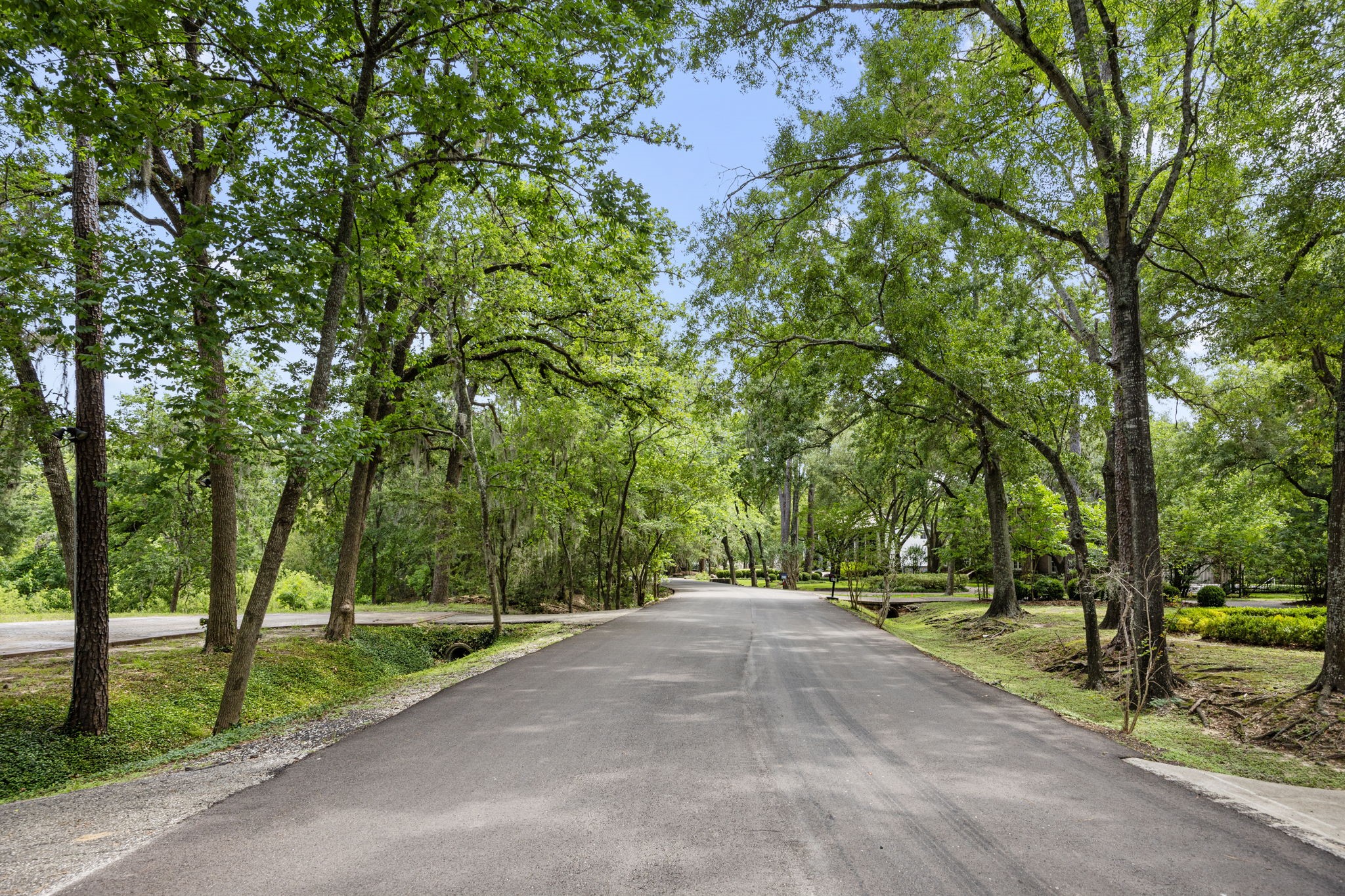 417 Rancho Bauer Drive Houston, TX 77079 - Photo 5 of 10