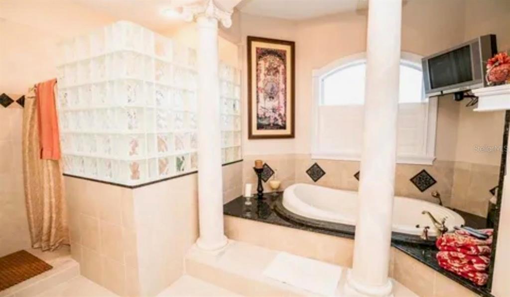 11715 Taylor Road Thonotosassa, FL 33592 - Photo 21 of 21 a bathroom with a tub sink and mirror