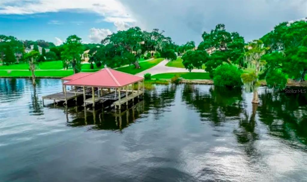 11715 Taylor Road Thonotosassa, FL 33592 - Photo 6 of 21 a view of a table and chairs under an umbrella