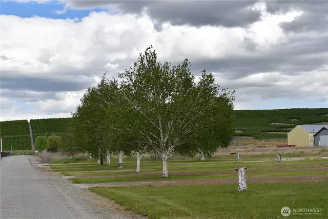 a view of a golf course with a lake