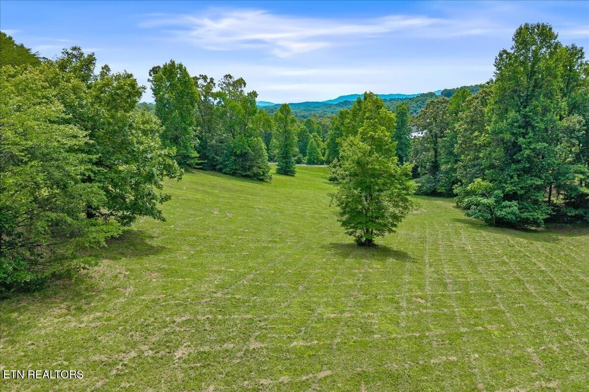 0 Springwater Run Madisonville, TN 37354 - Photo 4 of 13 Gallery Image 4