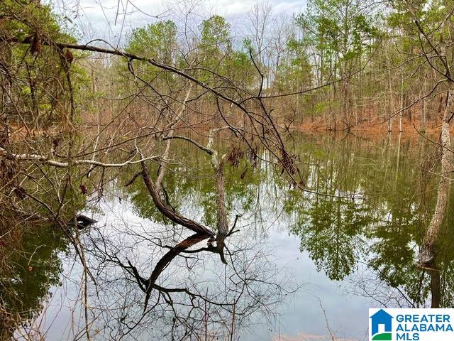 0 Deaver Walker Road Trafford, AL 35172 - Photo 21 of 28