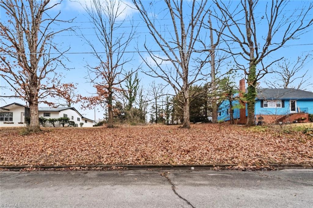 603 Spruce Street High Point, NC 27262 - Photo 3 of 6