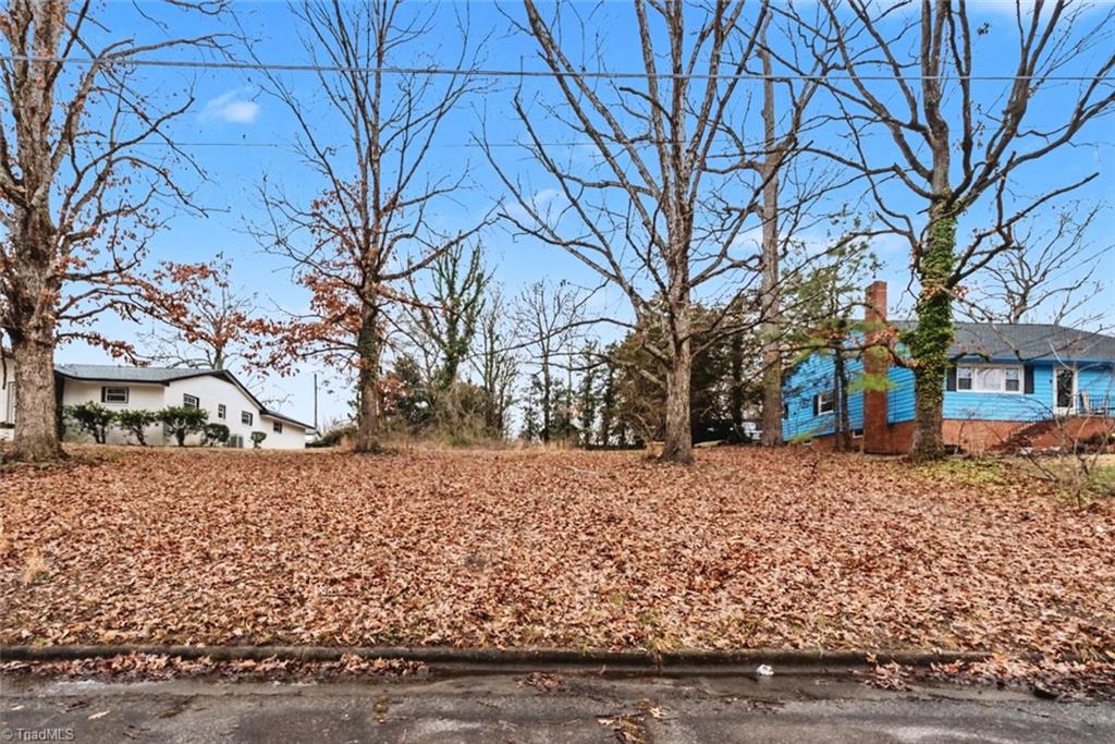 603 Spruce Street High Point, NC 27262 - Photo 6 of 6