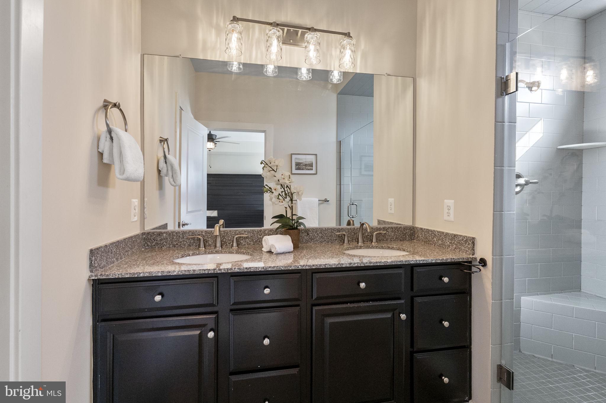 5313 Stream Bank Lane Greenbelt, MD 20770 - Photo 27 of 46 a bathroom with a granite countertop sink vanity and mirror