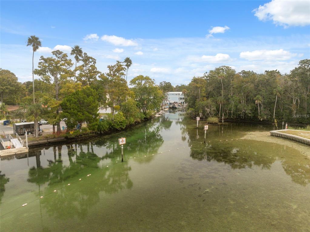 5527 Darlene Street Weeki Wachee, FL 34607 - Photo 56 of 79