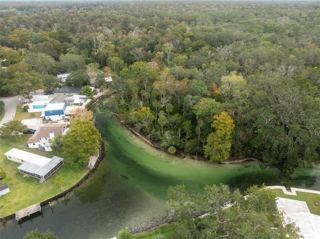 5527 Darlene Street Weeki Wachee, FL 34607 - Photo 63 of 79