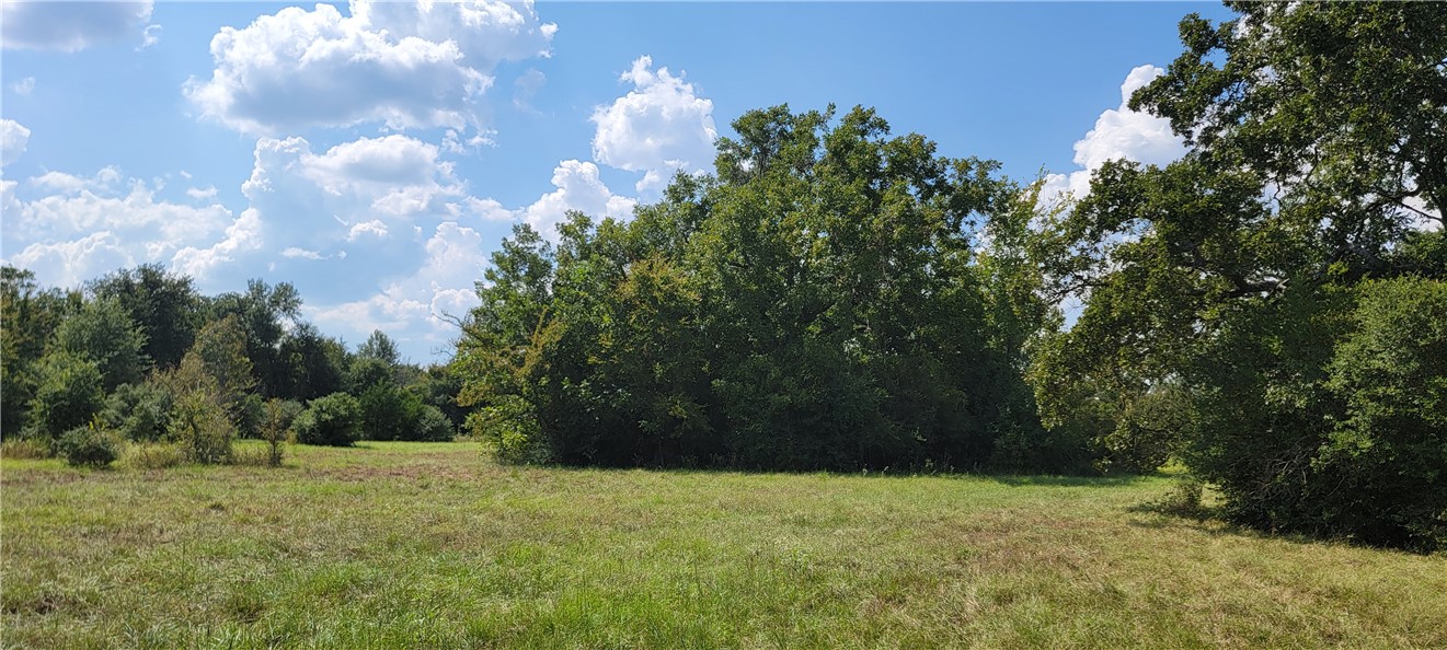4409 Old Boone Prairie Road Franklin, TX 77856 - Photo 13 of 33 a view of a yard