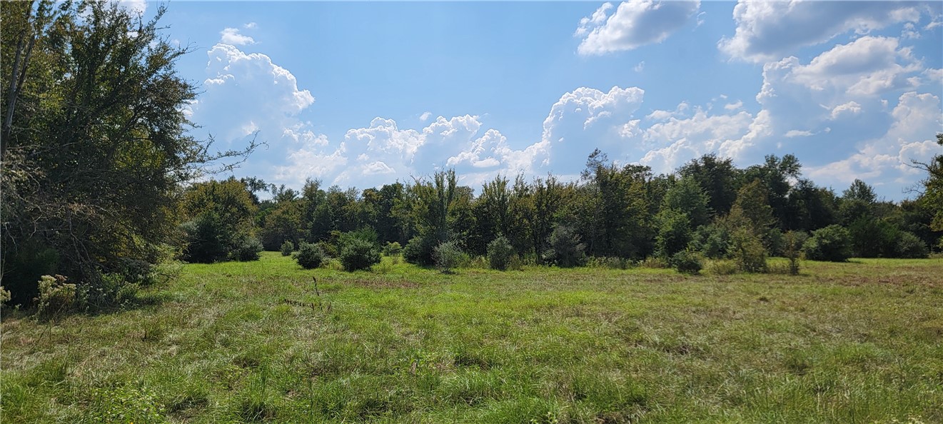 4409 Old Boone Prairie Road Franklin, TX 77856 - Photo 14 of 33 a backyard of a house with lots of green space and plants