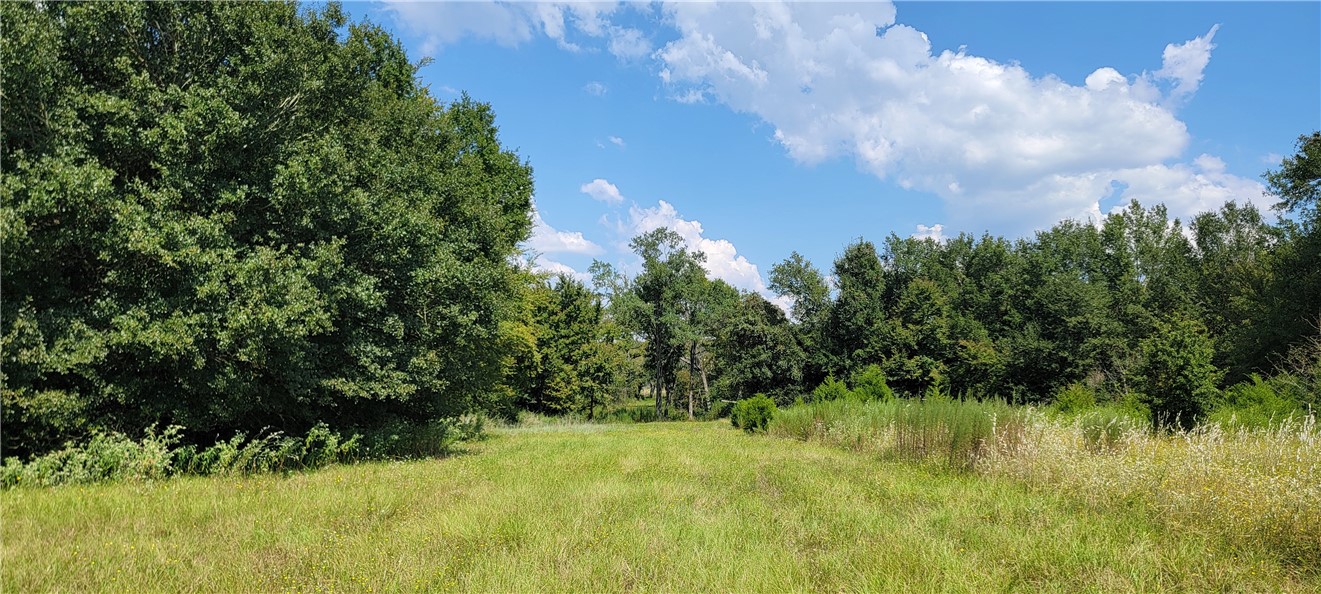 4409 Old Boone Prairie Road Franklin, TX 77856 - Photo 15 of 33 a view of a garden