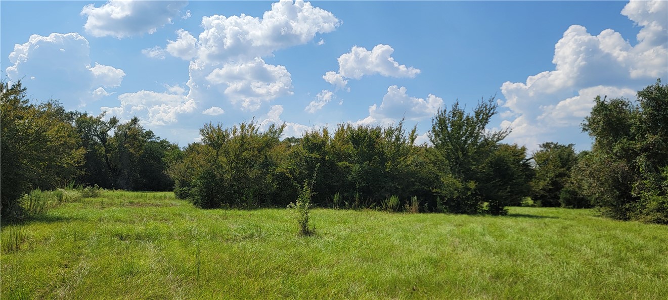 4409 Old Boone Prairie Road Franklin, TX 77856 - Photo 16 of 33 a view of a golf course