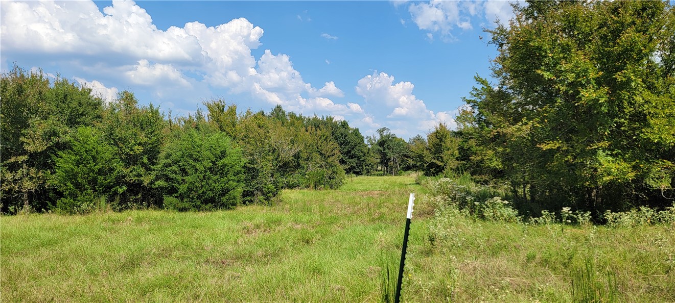 4409 Old Boone Prairie Road Franklin, TX 77856 - Photo 17 of 33 a yard with trees in the background