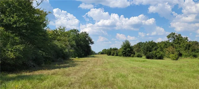 a view of a big yard with swimming pool and green space
