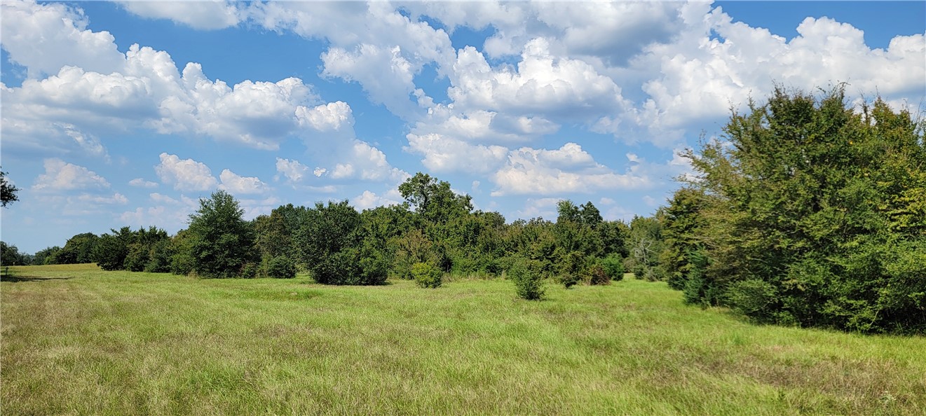 4409 Old Boone Prairie Road Franklin, TX 77856 - Photo 19 of 33 a view of a big yard with plants and large trees
