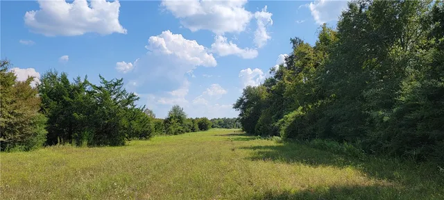 a view of a big yard