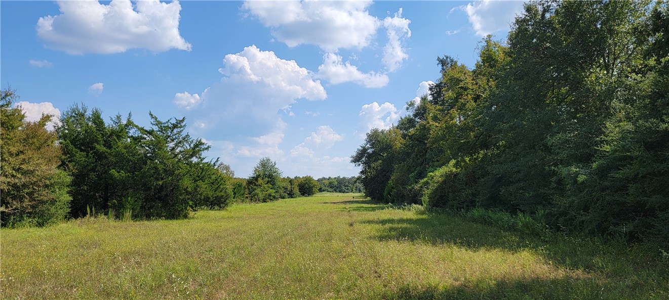 4409 Old Boone Prairie Road Franklin, TX 77856 - Photo 20 of 33 a view of a big yard with swimming pool and green space
