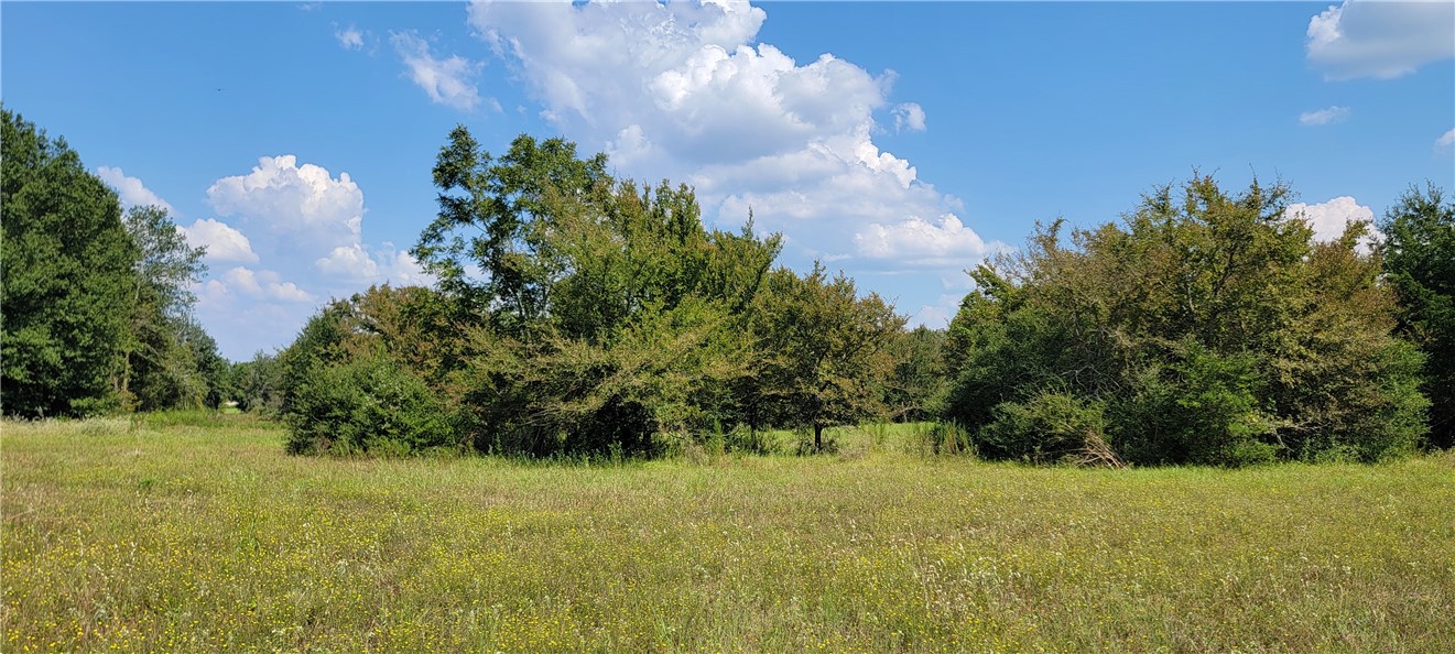4409 Old Boone Prairie Road Franklin, TX 77856 - Photo 21 of 33 a yard with a trees in the background