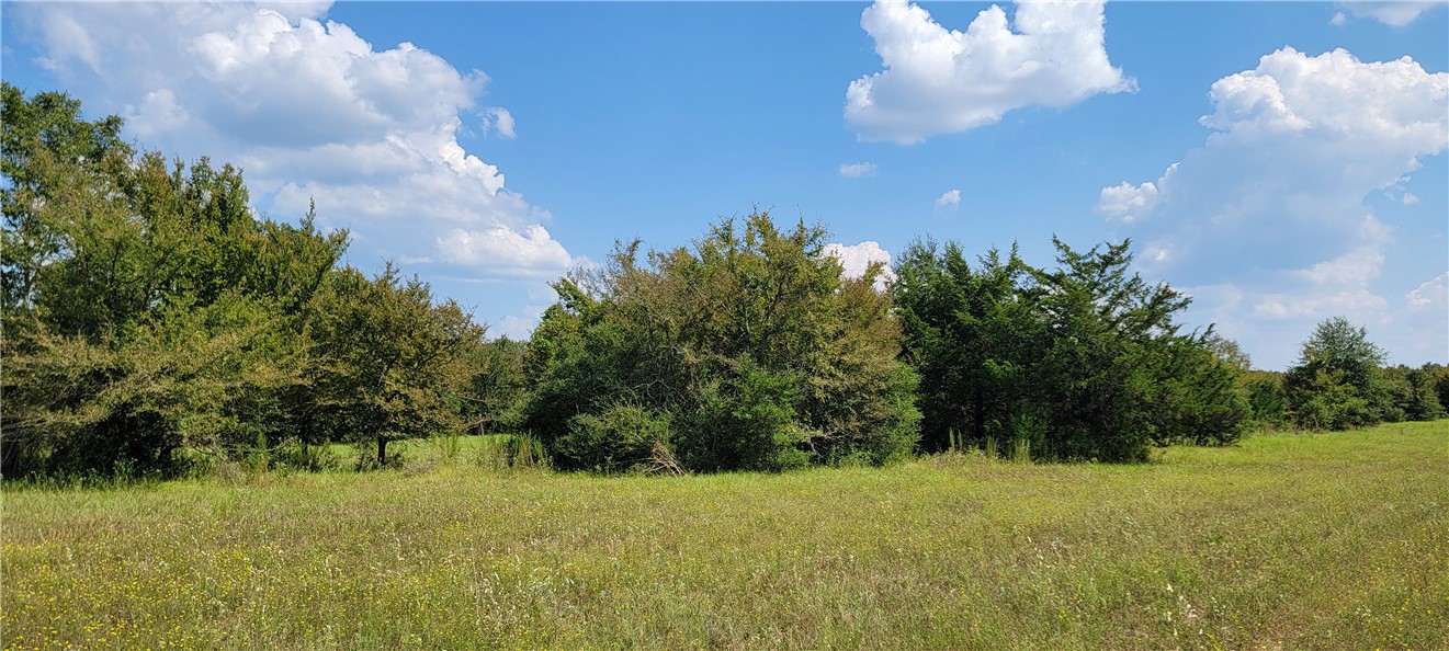 4409 Old Boone Prairie Road Franklin, TX 77856 - Photo 22 of 33 a view of a big yard