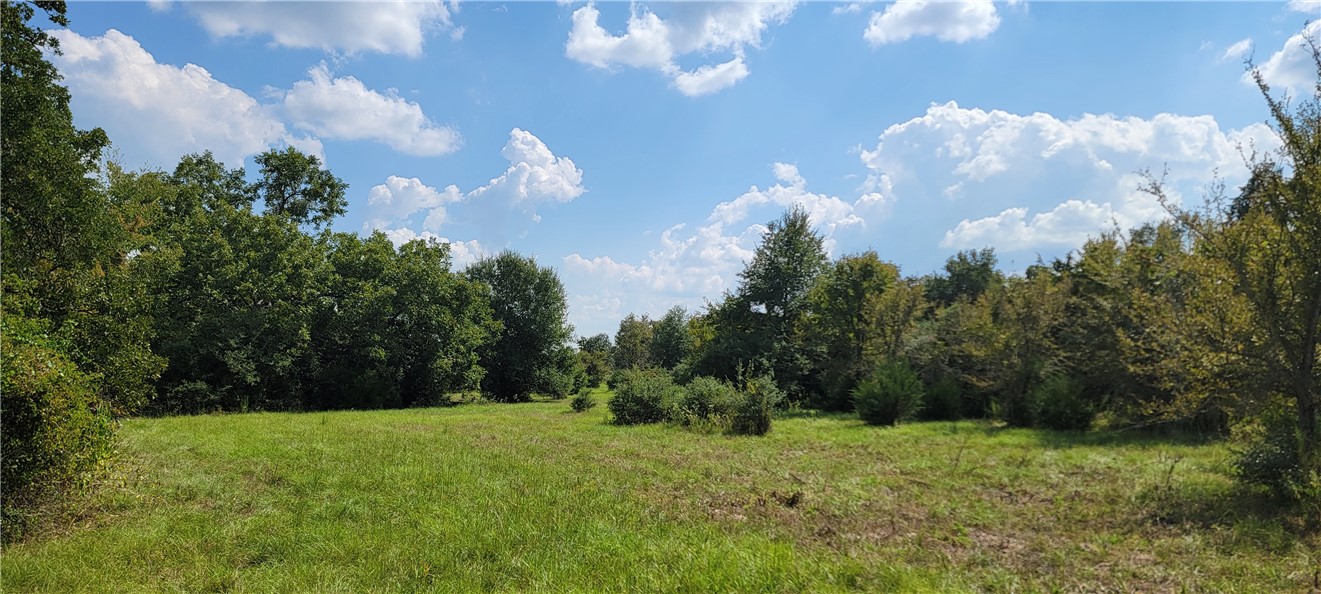 4409 Old Boone Prairie Road Franklin, TX 77856 - Photo 23 of 33 a view of a big yard