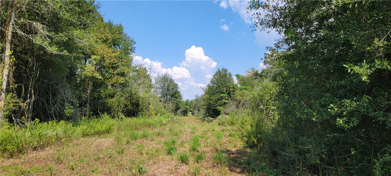 4409 Old Boone Prairie Road Franklin, TX 77856 - Photo 24 of 33 a view of a green field