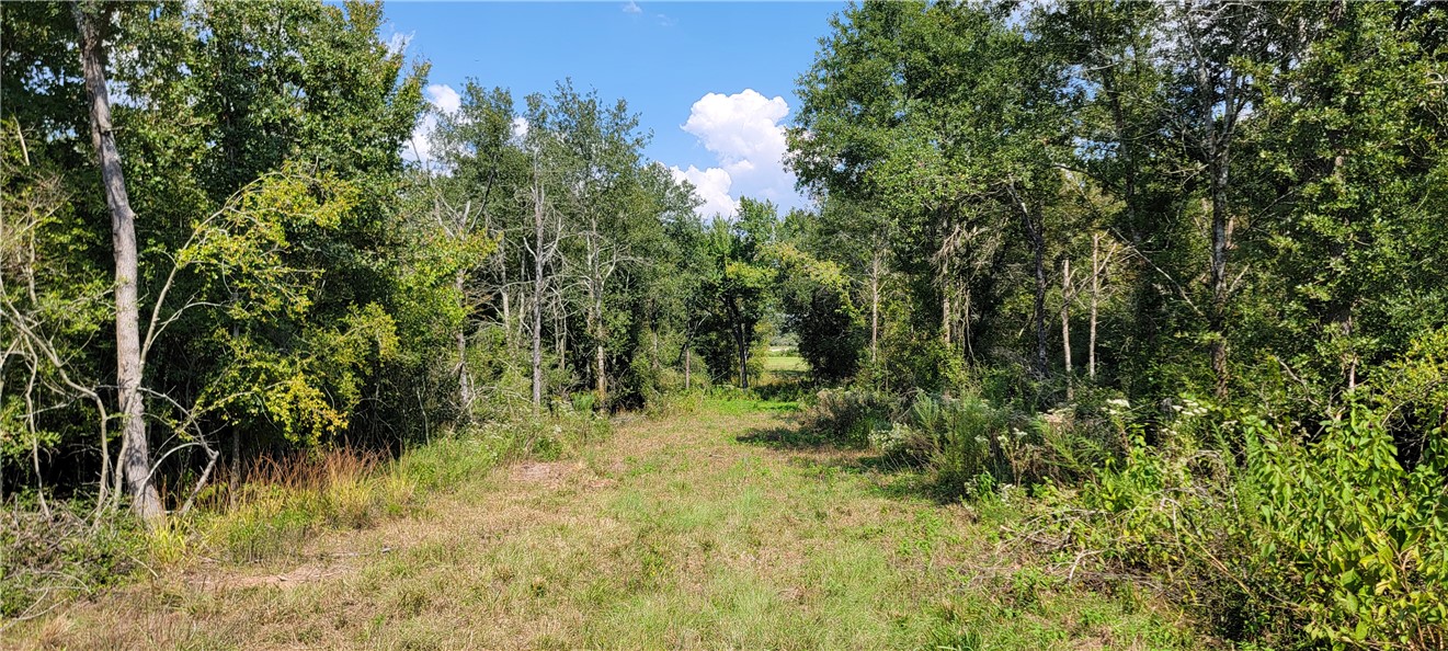 4409 Old Boone Prairie Road Franklin, TX 77856 - Photo 26 of 33 a view of a garden